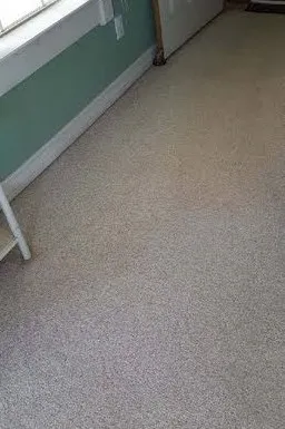 Stained carpet after professional cleaning by Hi-Tech Cleaning