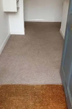 Pet-stained carpet after professional cleaning by Hi-Tech Cleaning
