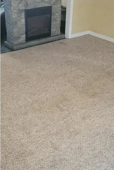 Carpet after professional cleaning by Hi-Tech Cleaning