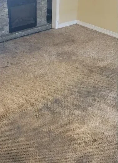 Carpet before professional cleaning by Hi-Tech Cleaning