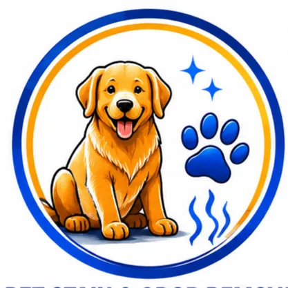 Hi-Tech Cleaning pet stain and odor removal service